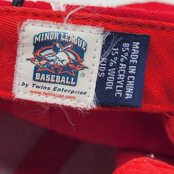 Twin Enterprise New Mexico Isotopes Minor League Baseball Hat Snapback Cap Youth - Picture 10 of 10